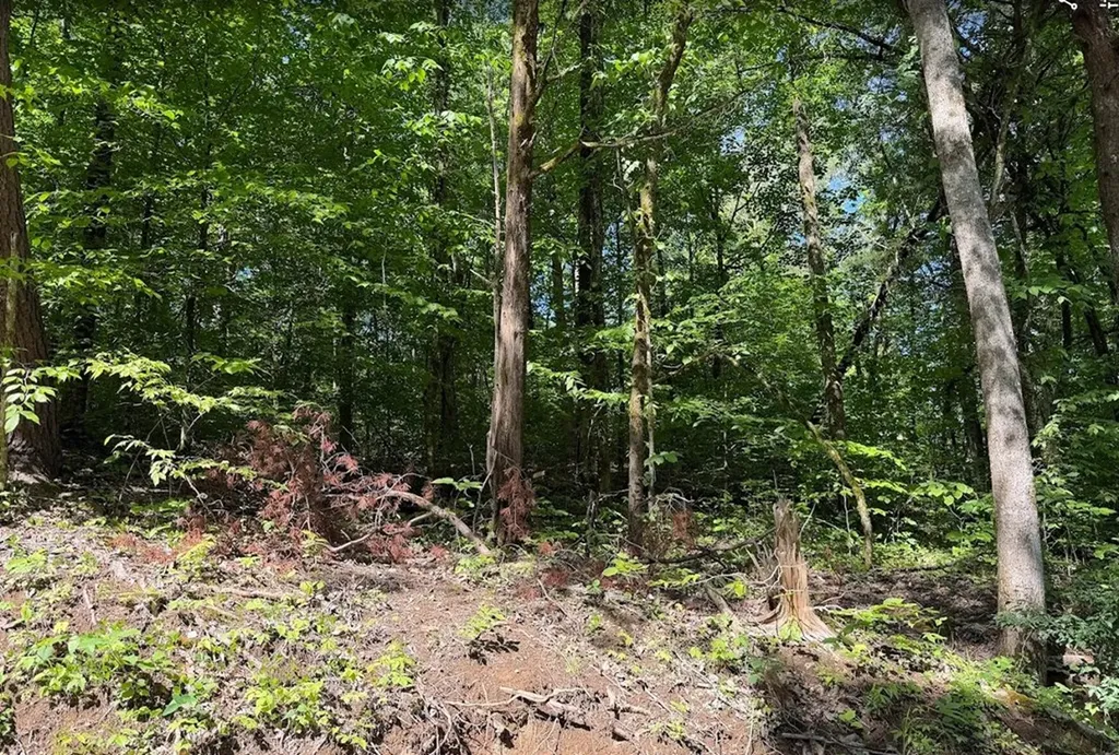 0 Spring Creek Road Cookeville TN 38501