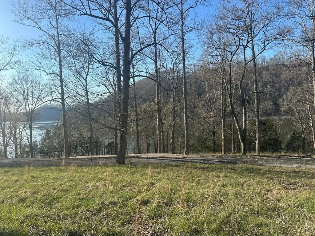 2991 Johnson Chapel Road Sparta TN 38583