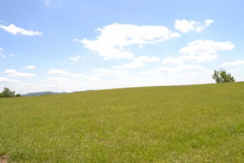 Lot 61c Walleye Road Hilham TN 38568