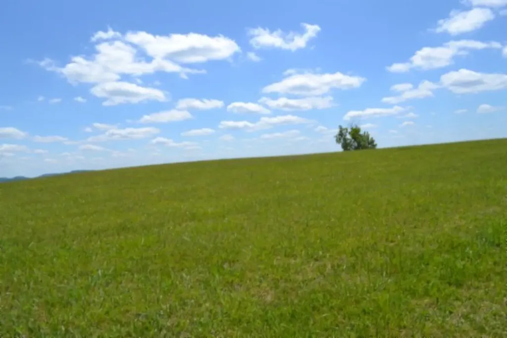 Lot 61c Walleye Road Hilham TN 38568