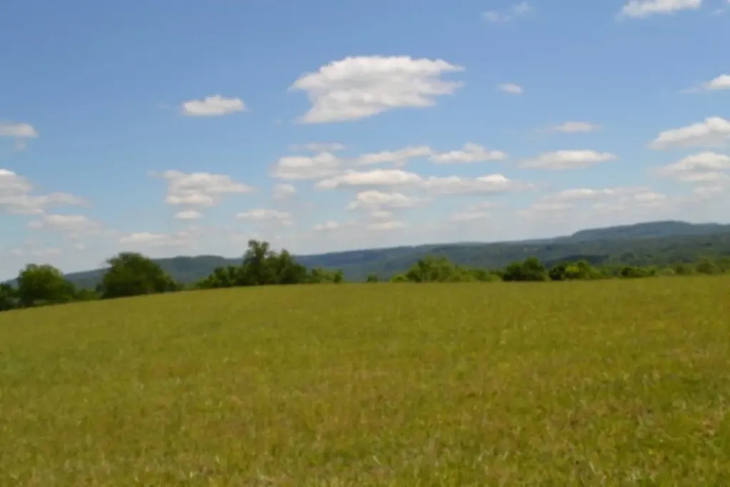 Lot 61c Walleye Road Hilham TN 38568