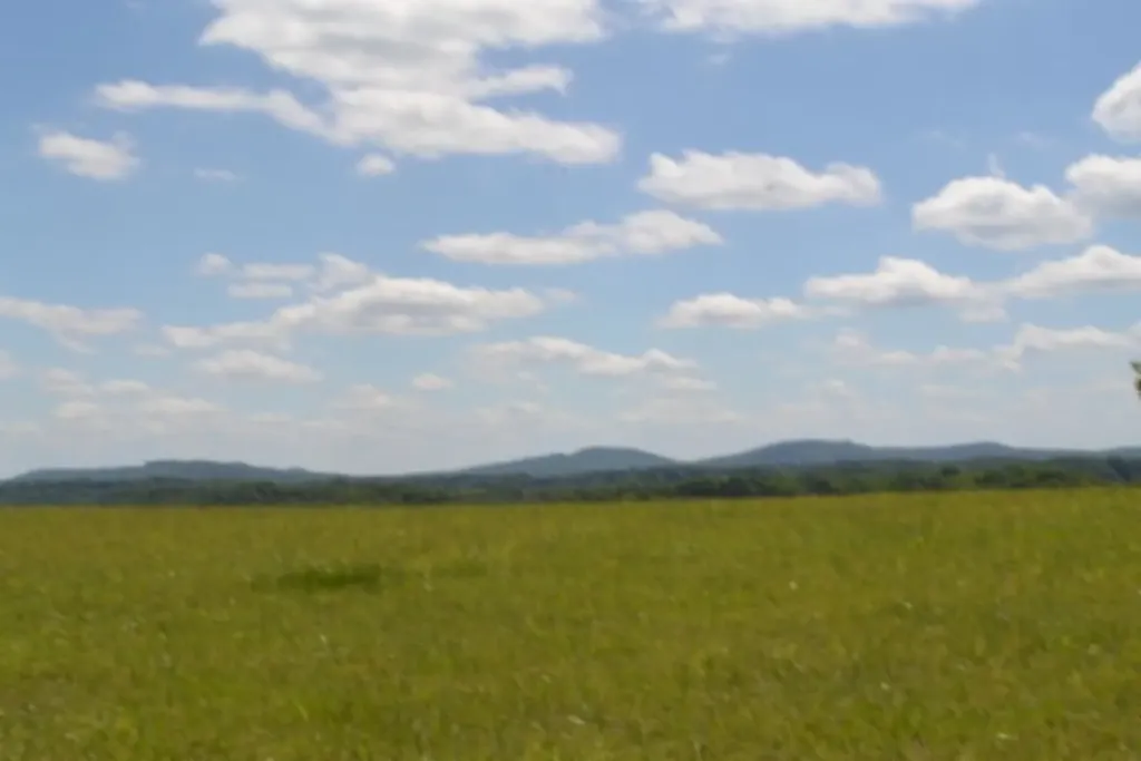 Lot 61c Walleye Road Hilham TN 38568