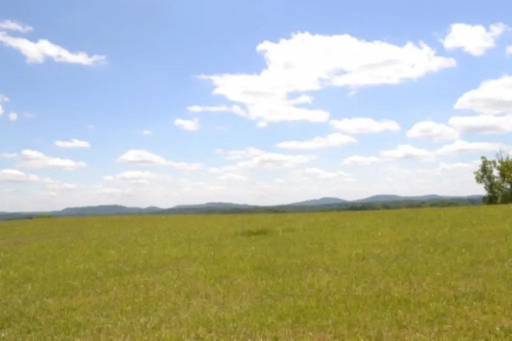 Lot 61c Walleye Road Hilham TN 38568