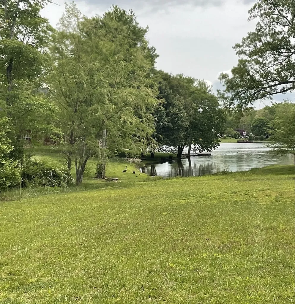 390 Deer Creek Drive Crossville TN 38571