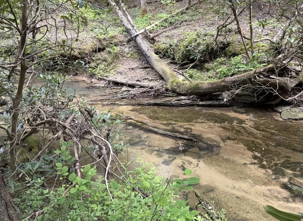 18459 Clarkrange Highway Monterey TN 38574