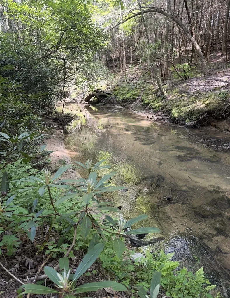 18459 Clarkrange Highway Monterey TN 38574