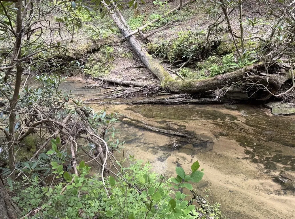18459 Clarkrange Highway Monterey TN 38574