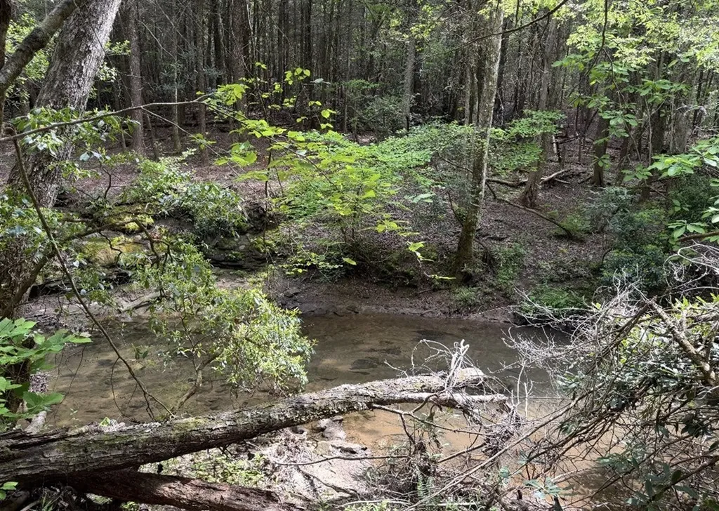 18459 Clarkrange Highway Monterey TN 38574