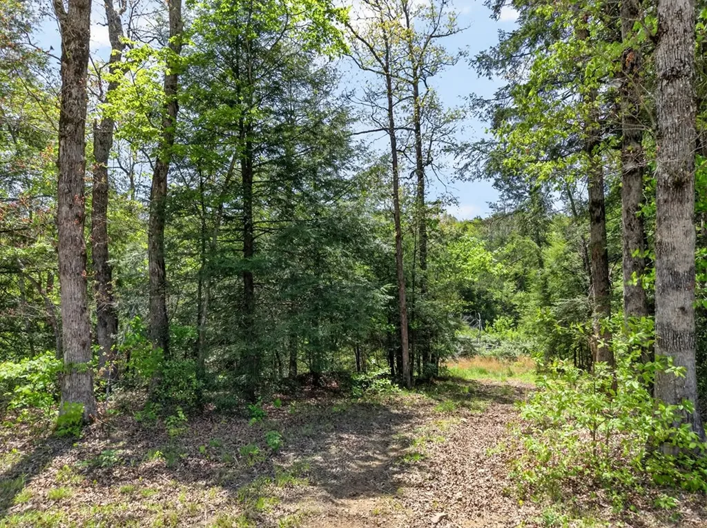 18459 Clarkrange Highway Monterey TN 38574