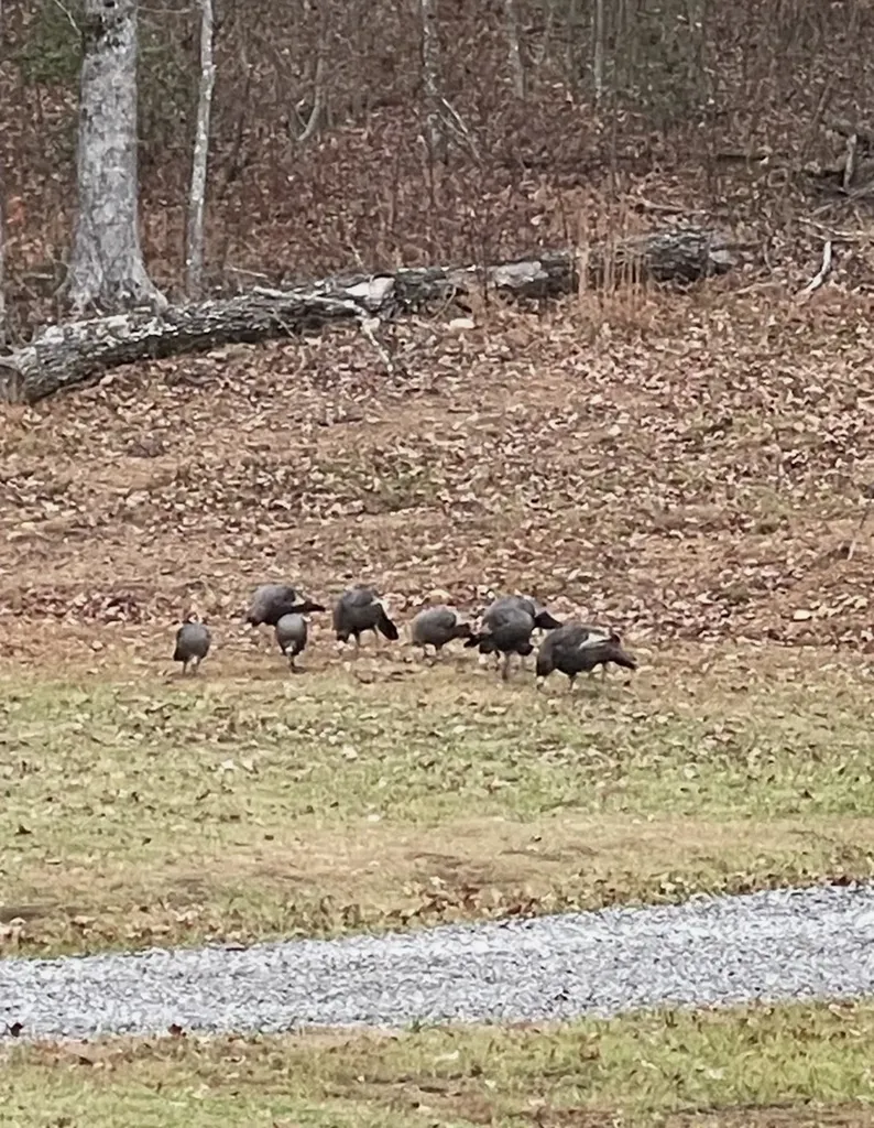 18459 Clarkrange Highway Monterey TN 38574