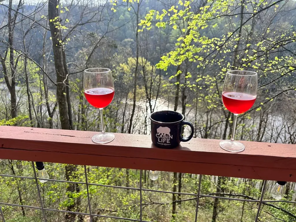 8045 Sarah Thomas Road Silver Point TN 38582