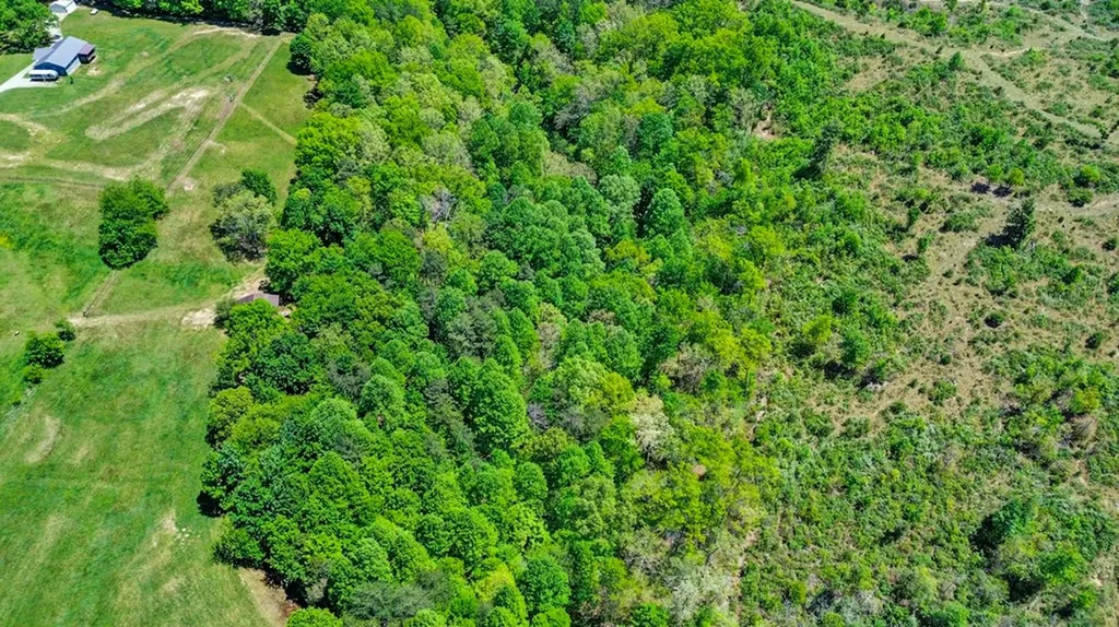 N/a Panther Branch Road Jamestown TN 38556