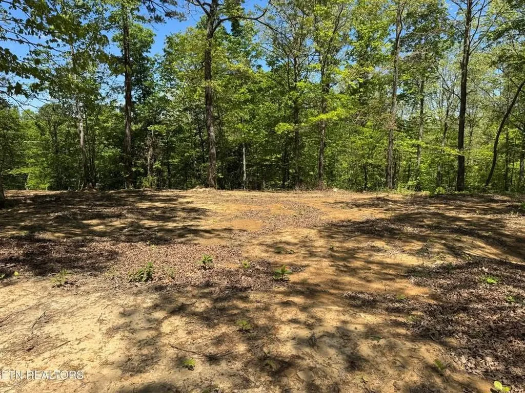 1022 Spring Hill Circle Jamestown TN 38556-5681