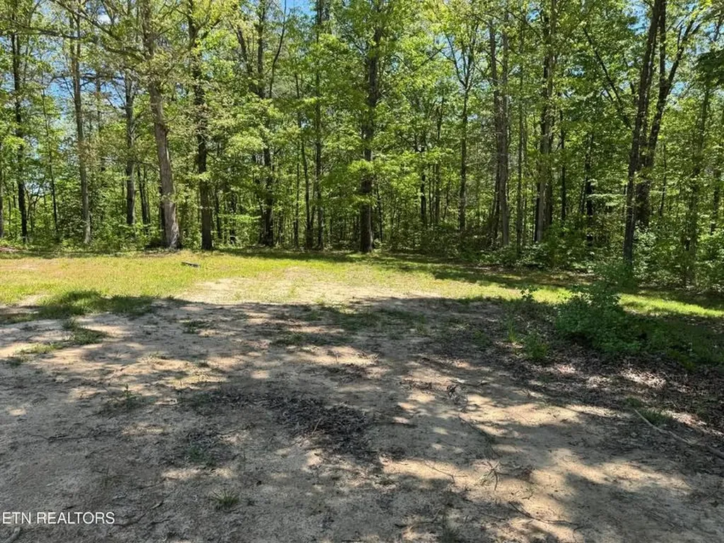 1022 Spring Hill Circle Jamestown TN 38556-5681
