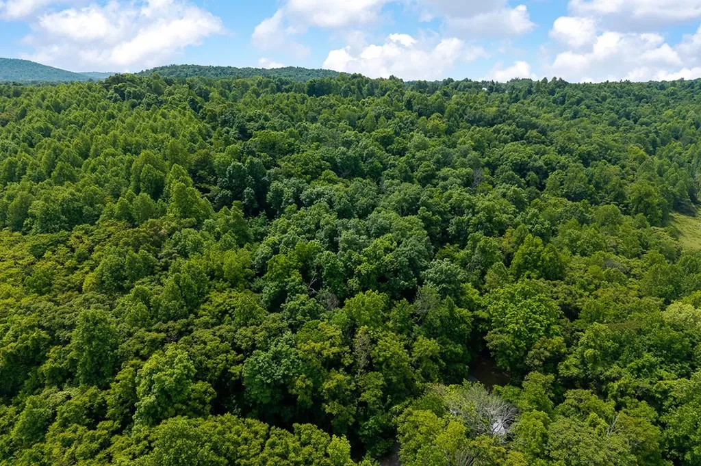 00 Hill Top Lane Livingston TN 38570