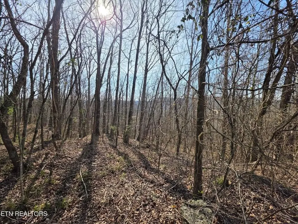 0 Glenoby Road Jamestown TN 38556