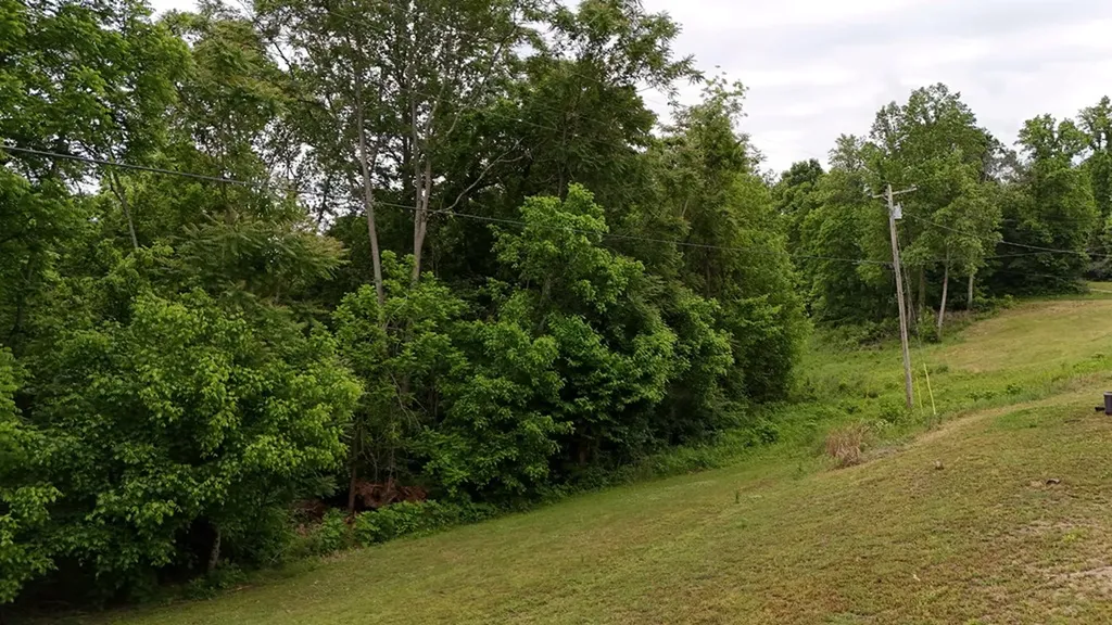 1825 Freehill Road Celina TN 38551