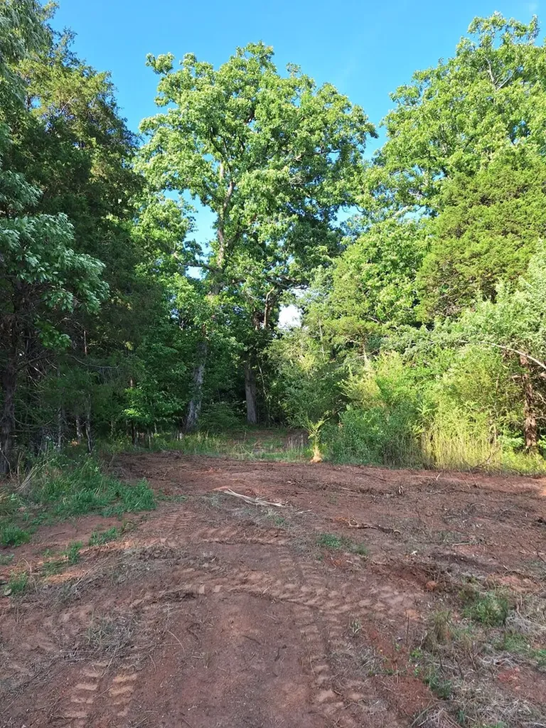 000 Bone Cave Road Rock Island TN 38581
