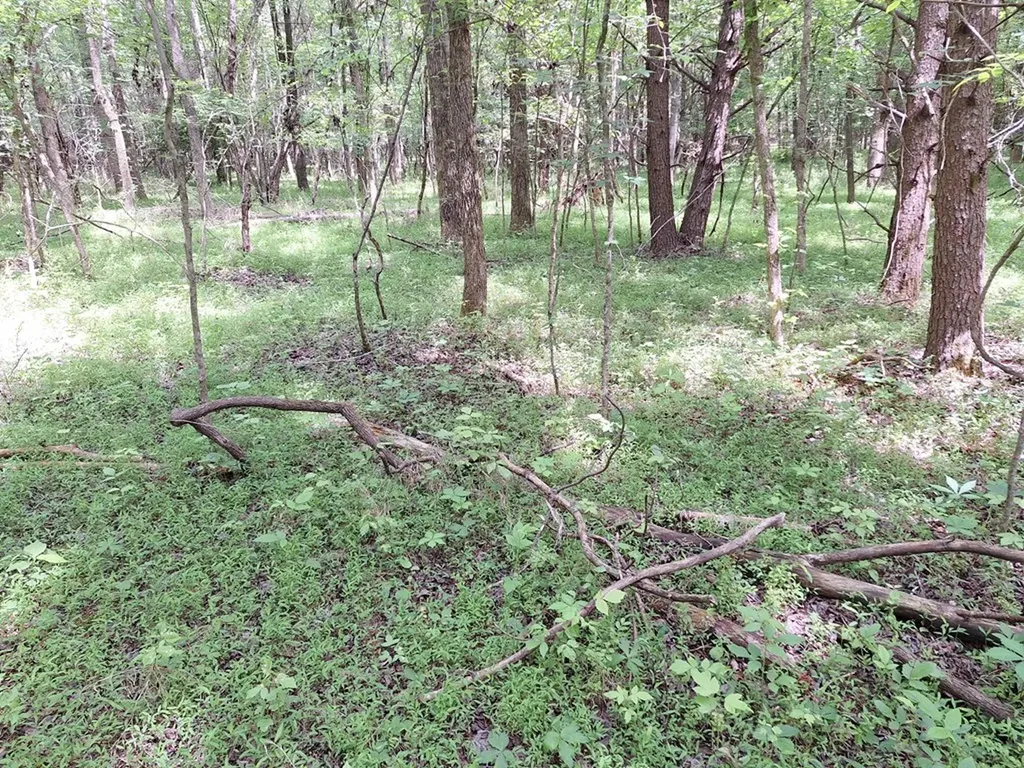 000 Bone Cave Road Rock Island TN 38581