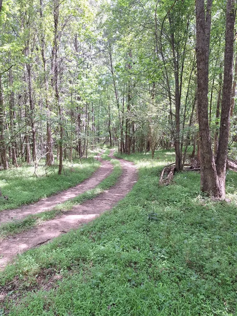 000 Bone Cave Road Rock Island TN 38581