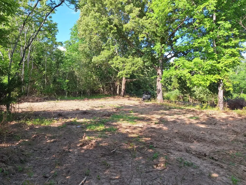 000 Bone Cave Road Rock Island TN 38581