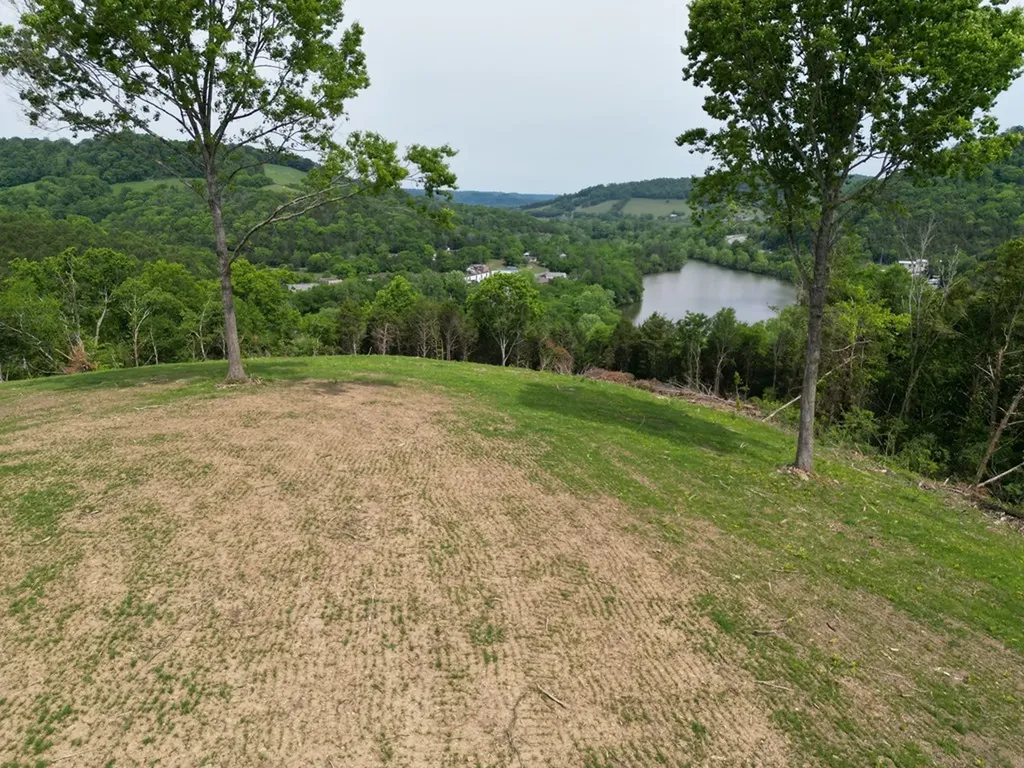 23.06 Ac Baugh Hollow Lane Gainesboro TN 38562