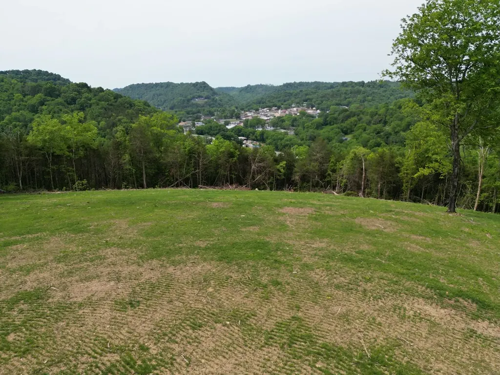 23.06 Ac Baugh Hollow Lane Gainesboro TN 38562