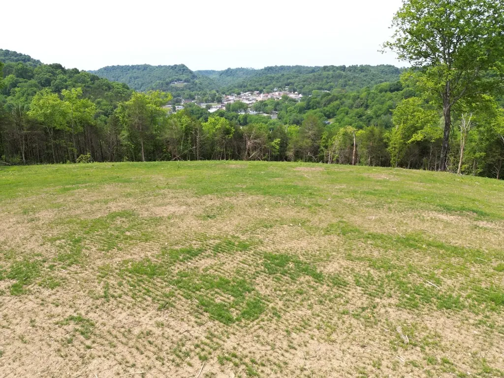23.06 Ac Baugh Hollow Lane Gainesboro TN 38562