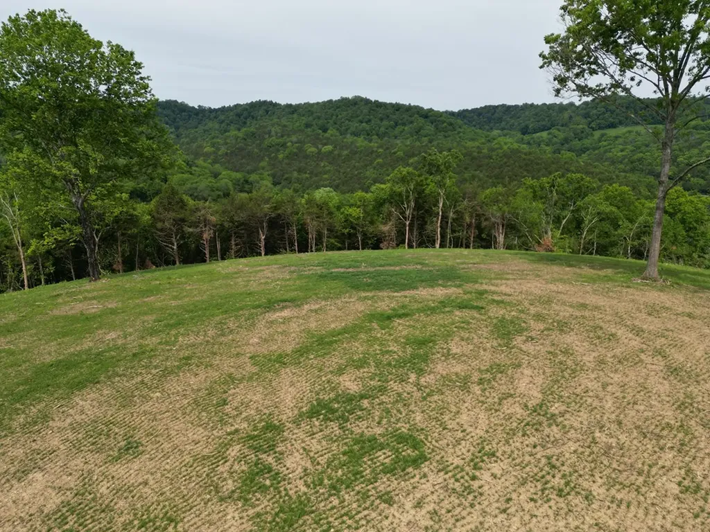 23.06 Ac Baugh Hollow Lane Gainesboro TN 38562