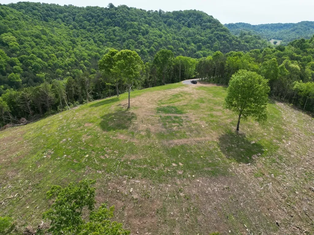 23.06 Ac Baugh Hollow Lane Gainesboro TN 38562