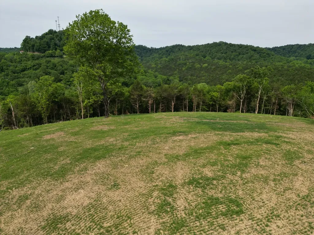 23.06 Ac Baugh Hollow Lane Gainesboro TN 38562