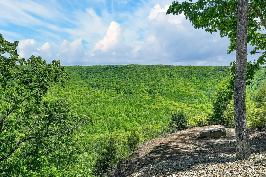 865 Eastridge Pass Monterey TN 38574