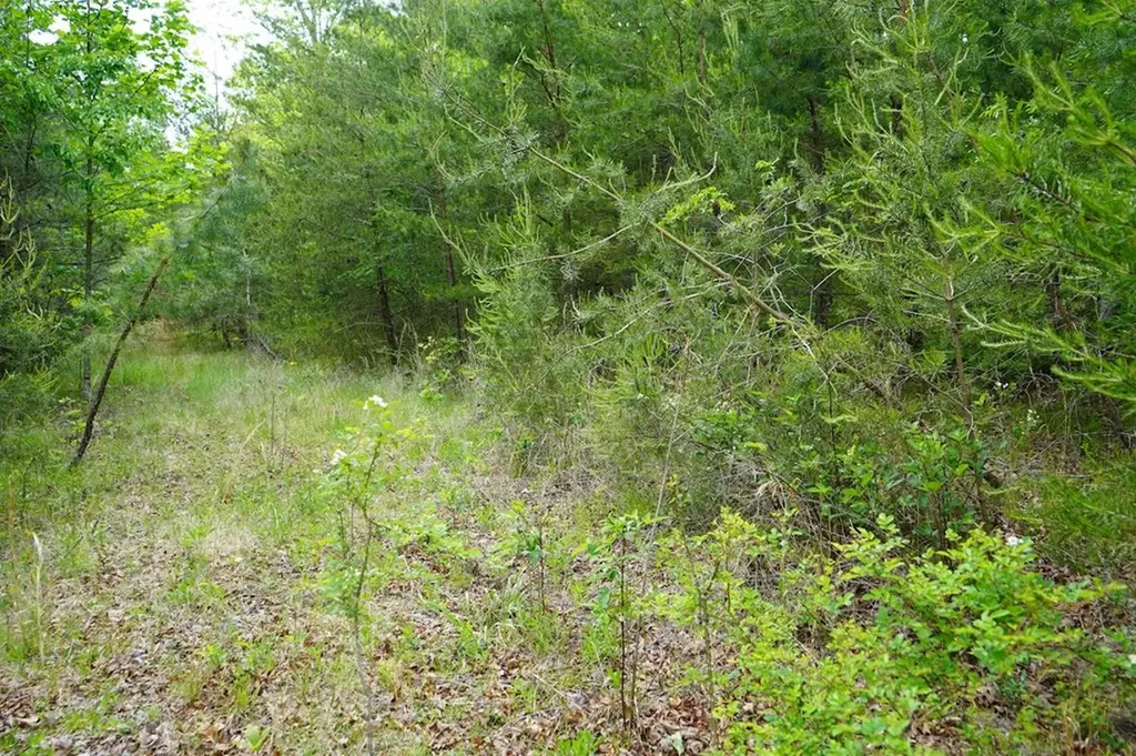 Lot 34 Hemlock Lane Spencer TN 38583