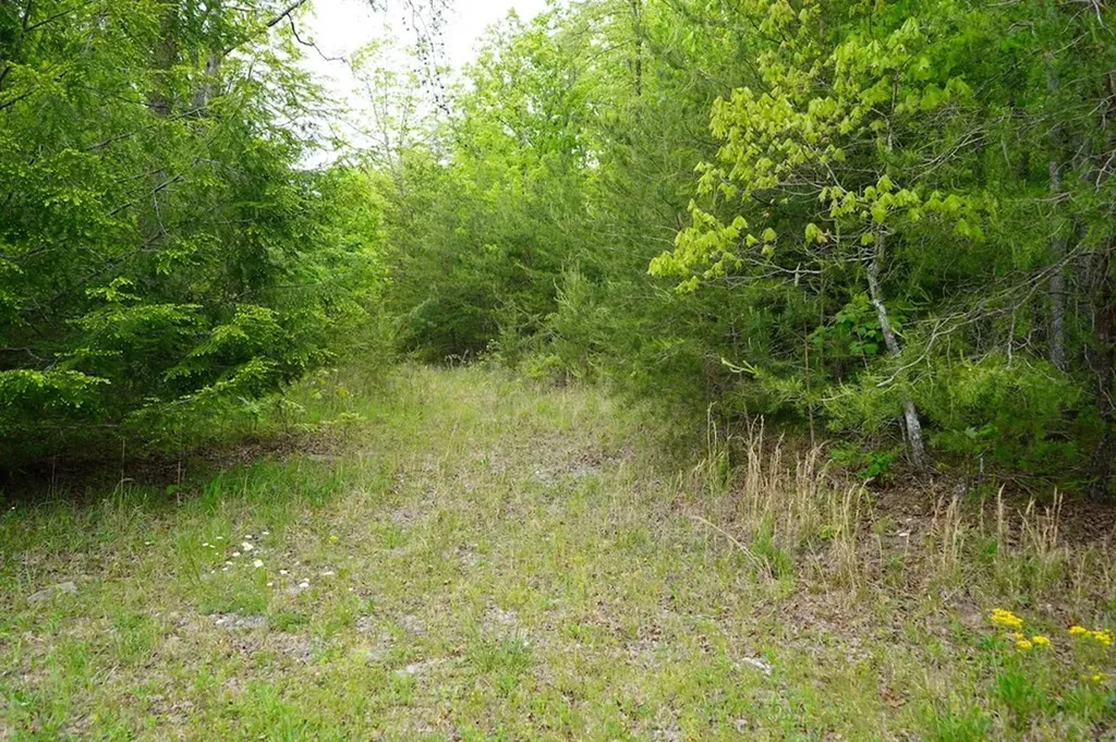 Lot 34 Hemlock Lane Spencer TN 38583