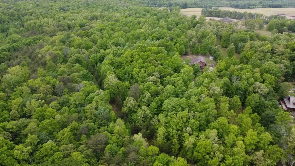 Lot 34 Hemlock Lane Spencer TN 38583