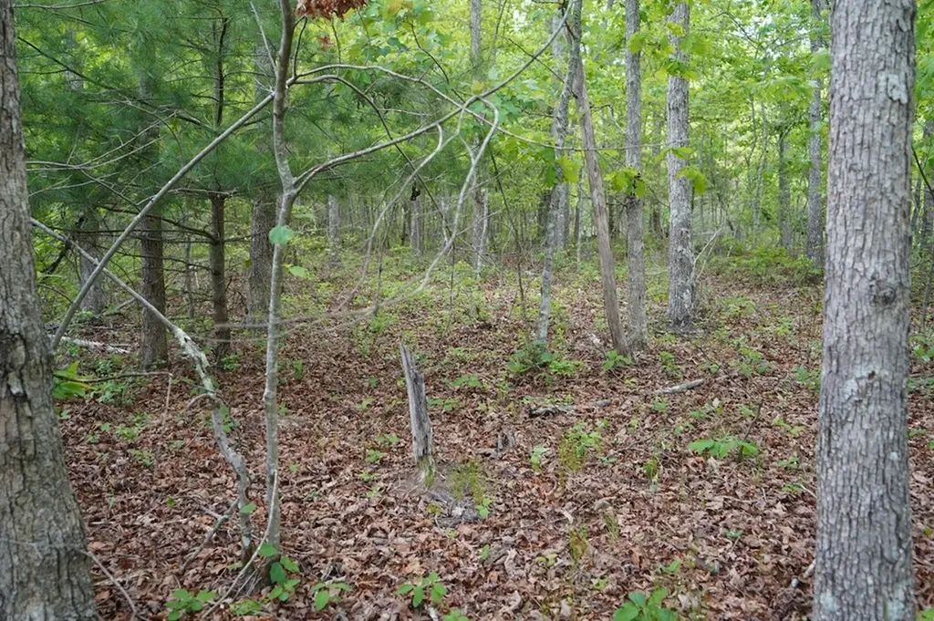 Lot 34 Hemlock Lane Spencer TN 38583
