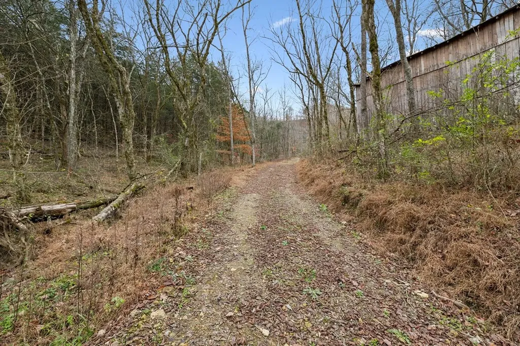 0 Long Branch Road Lancaster TN 38569