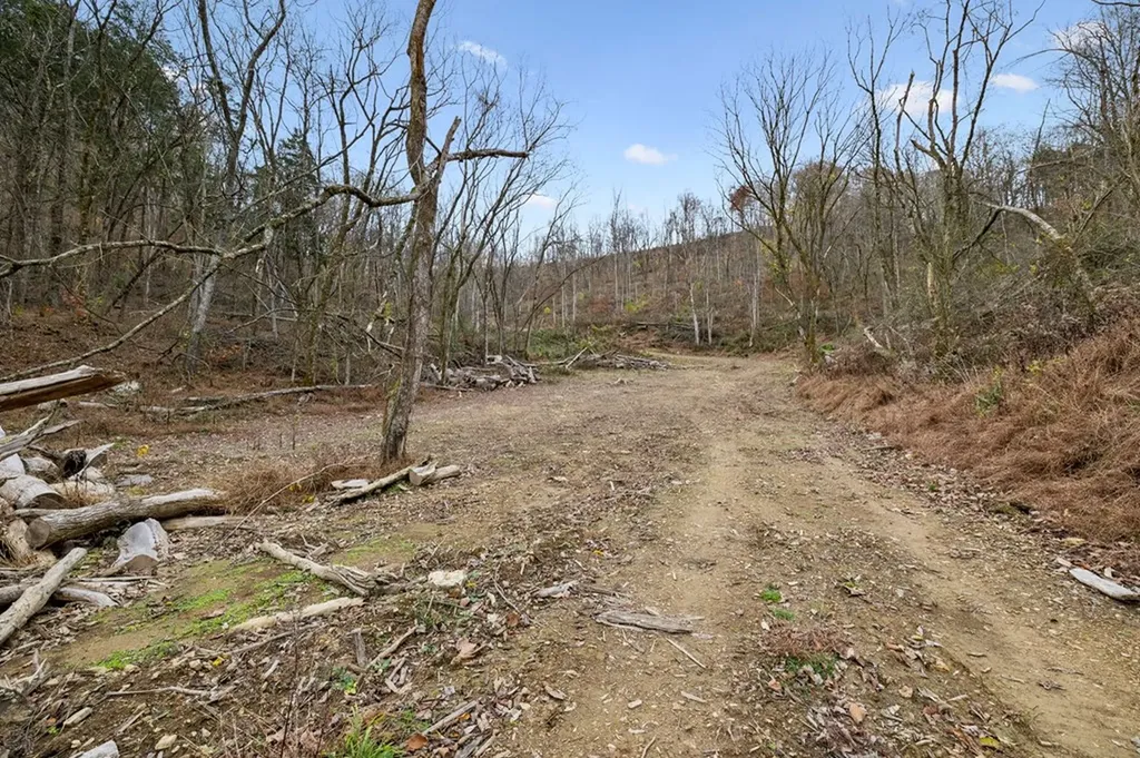 0 Long Branch Road Lancaster TN 38569
