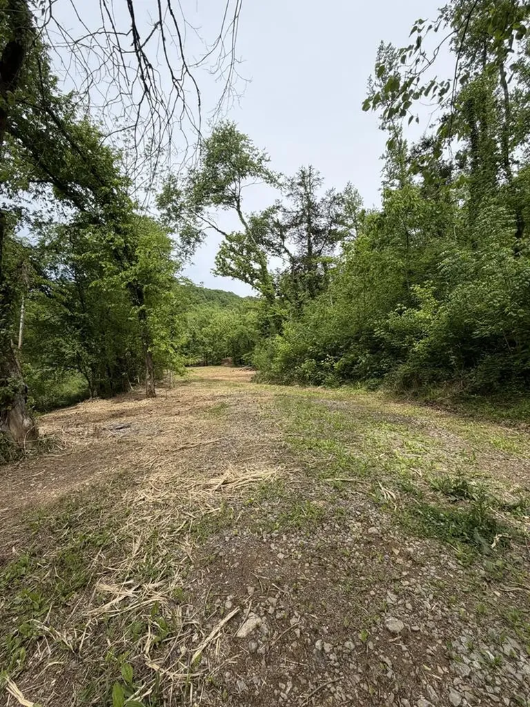 0 Long Branch Road Lancaster TN 38569
