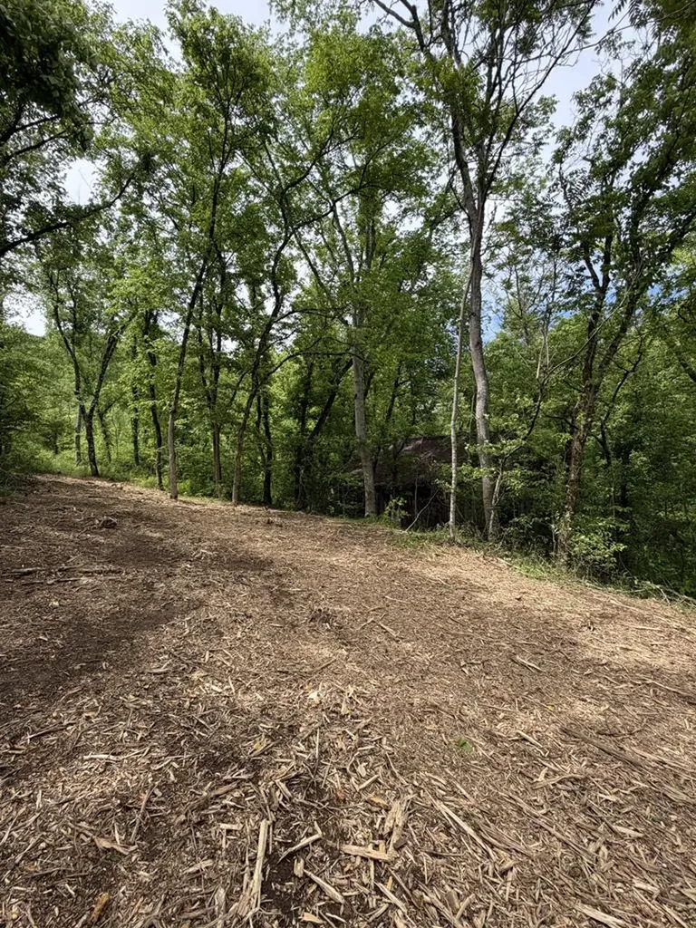 0 Long Branch Road Lancaster TN 38569