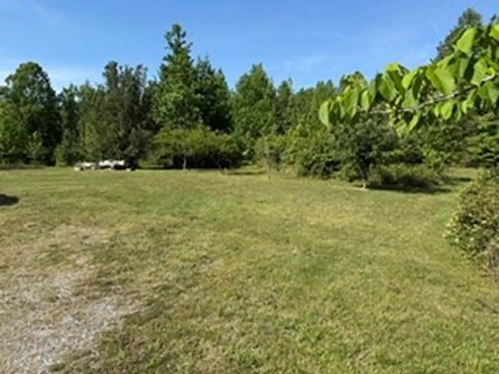 465 Old Eagle Creek Road Smithville TN 37166