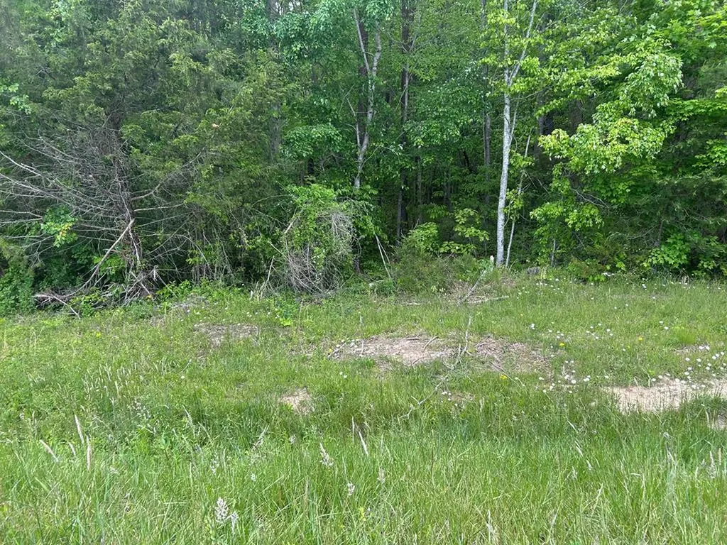 Rt Davis 0 Spencer TN 38585-5418