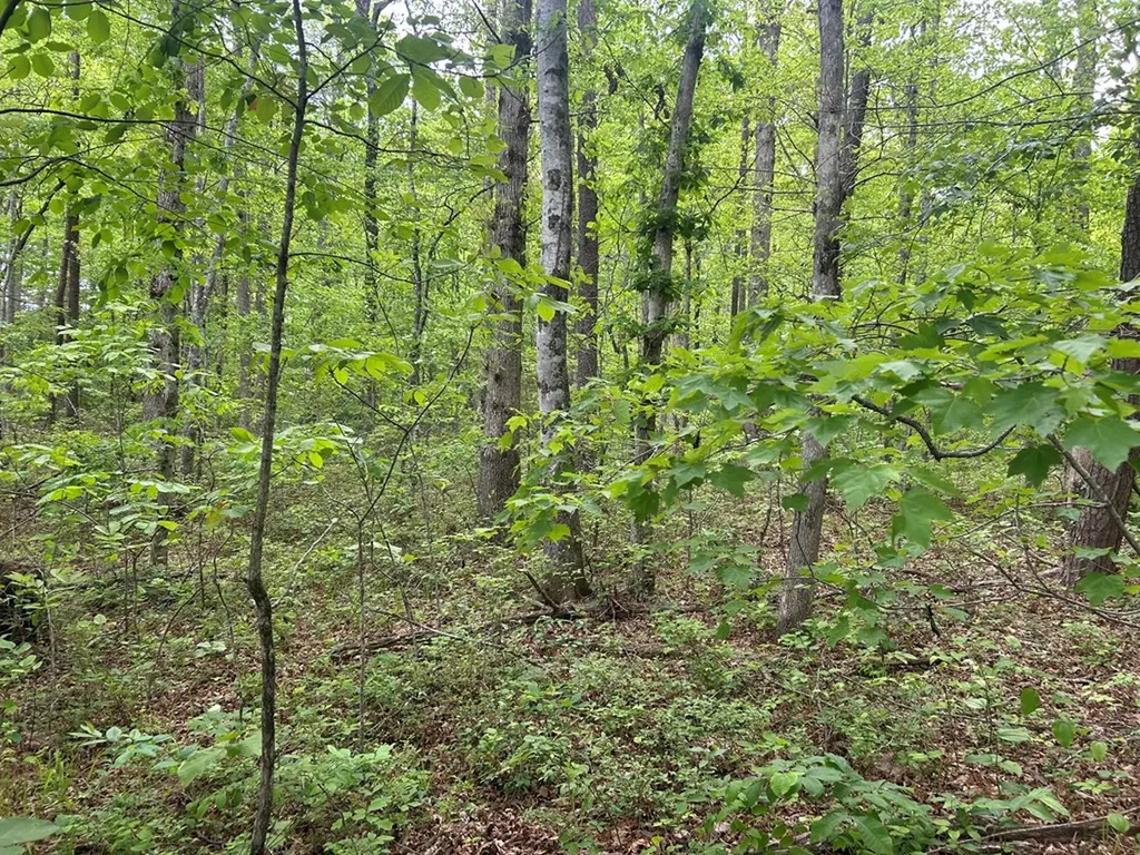 Rt Davis 0 Spencer TN 38585-5418
