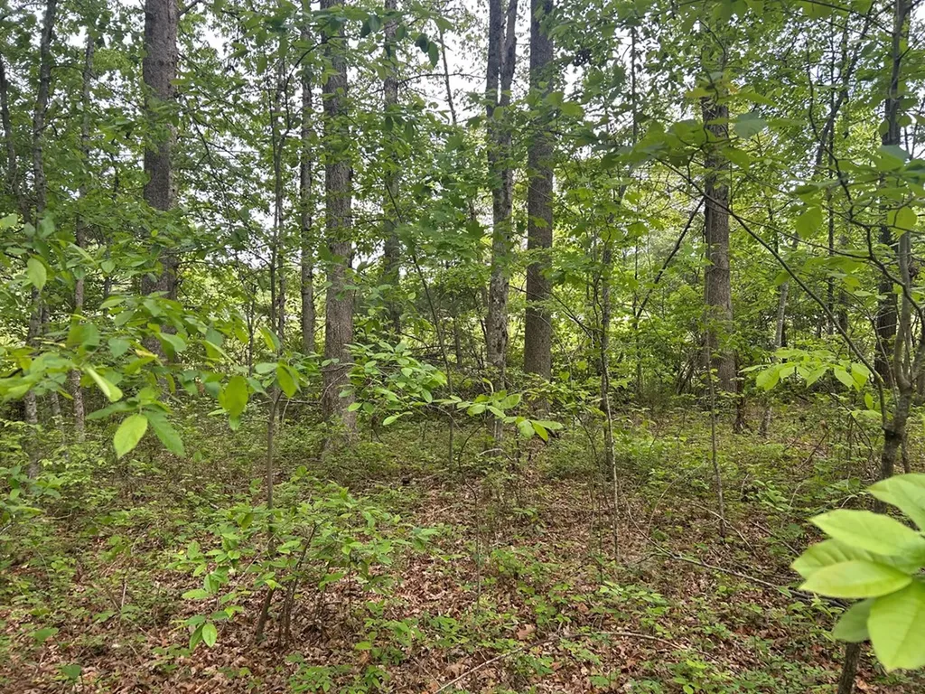 Rt Davis 0 Spencer TN 38585-5418