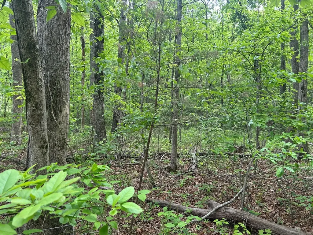 Rt Davis 0 Spencer TN 38585-5418