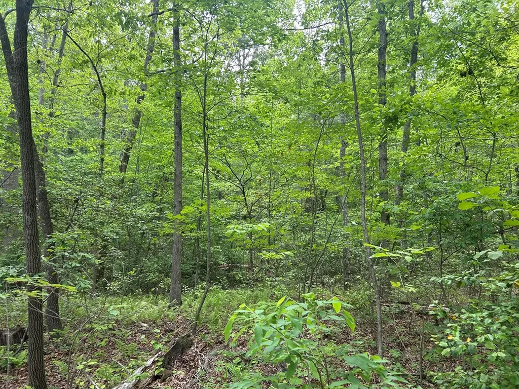 Rt Davis 0 Spencer TN 38585-5418