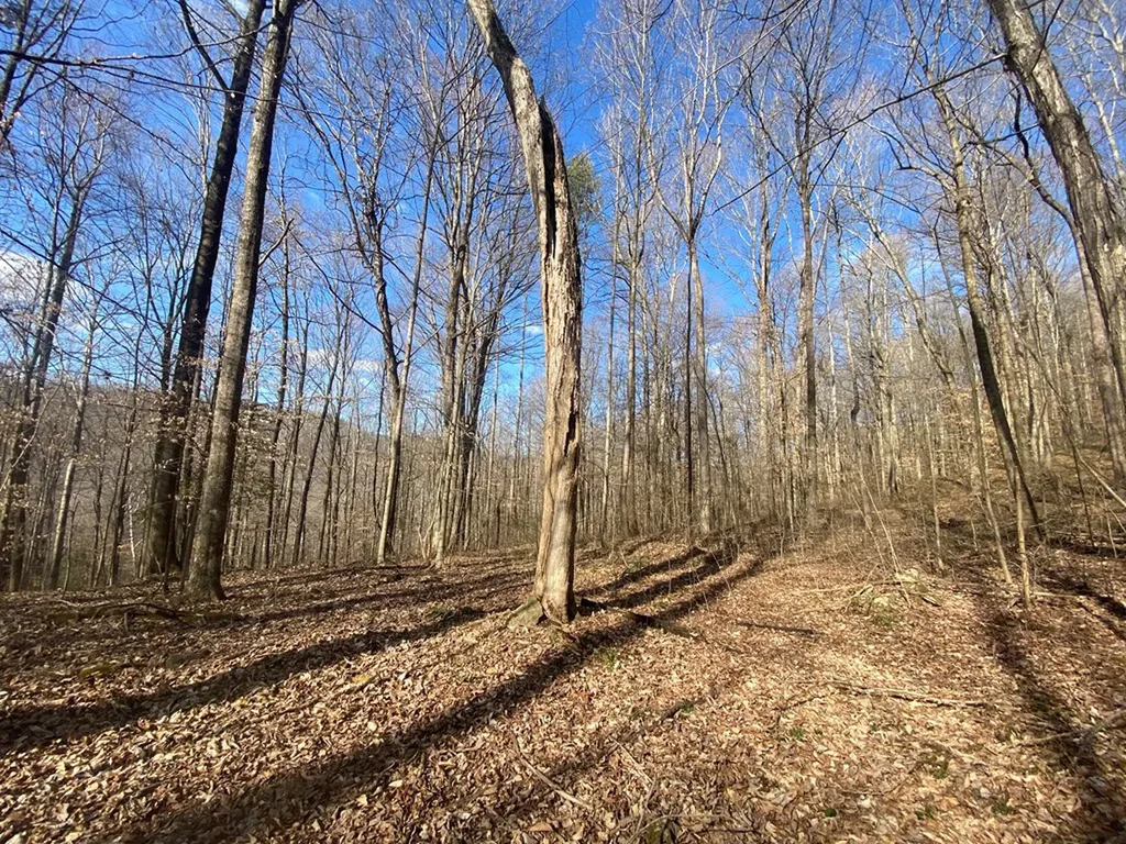 Lot 26 Apache Road Jamestown TN 38556