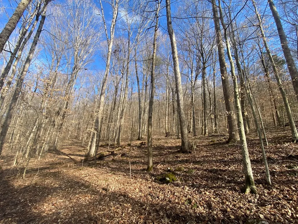 Lot 26 Apache Road Jamestown TN 38556