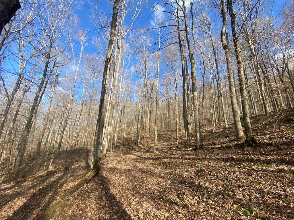 Lot 26 Apache Road Jamestown TN 38556