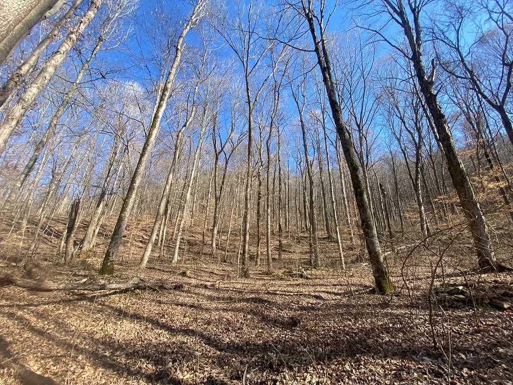 Lot 26 Apache Road Jamestown TN 38556